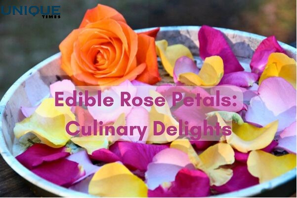 All About Edible Roses: Unleash the Power of Petals for Delicious