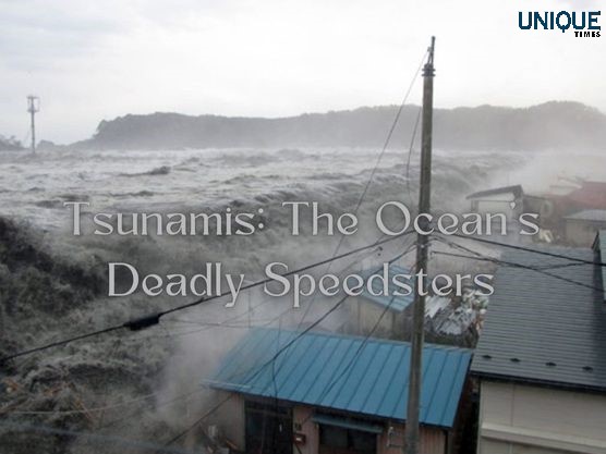 Unleash the Fury: Mengungkap kekuatan tsunami
